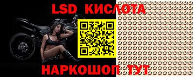 эйфоретик Заводоуковск