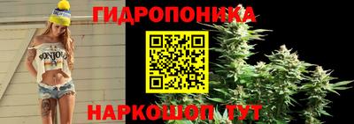 гашик Жуковский