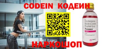 гашик Жуковский