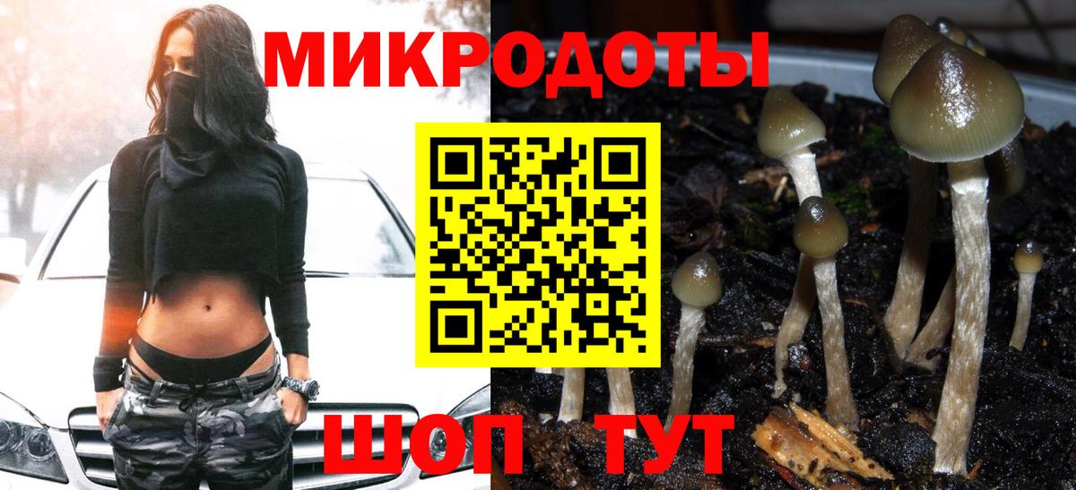 Псилоцибиновые грибы мухоморы  купить наркотик  Псилоцибиновые грибы прущие грибы  Орёл  Вход с VPN 