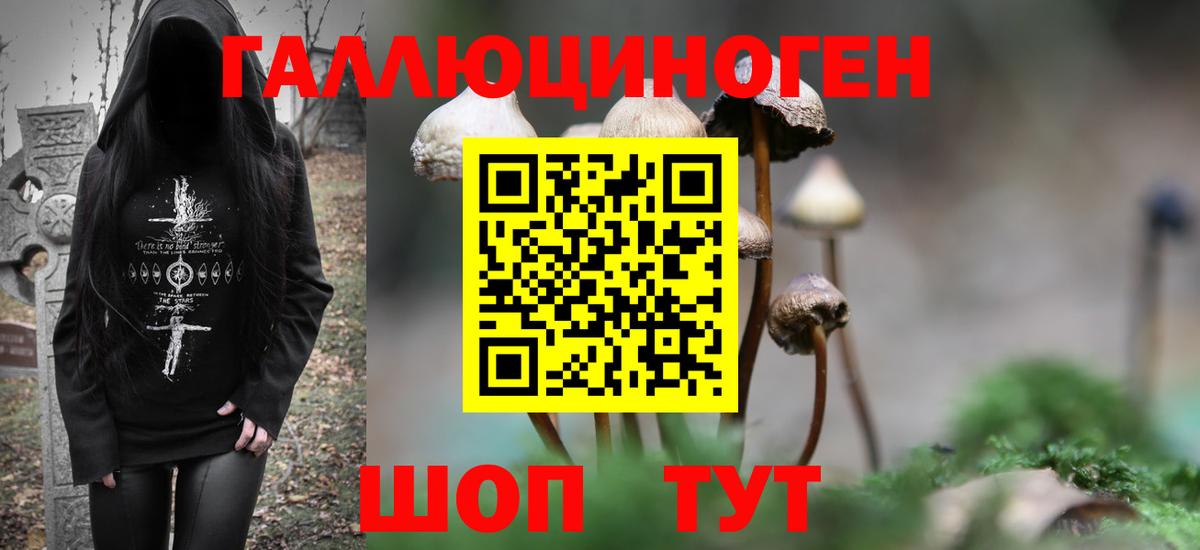 Псилоцибиновые грибы Psilocybine cubensis Орёл